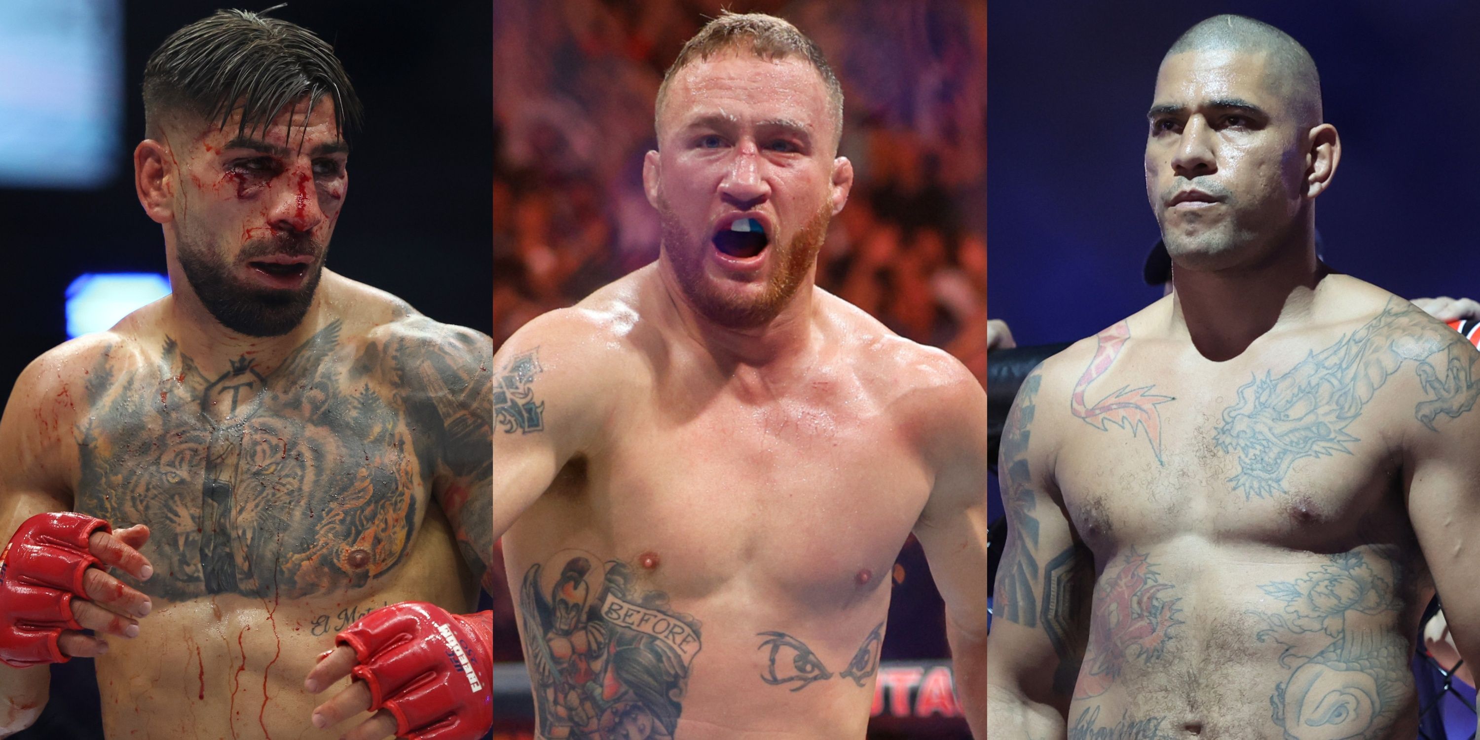 The 15 highest-earning UFC fighters in 2026 have been revealed