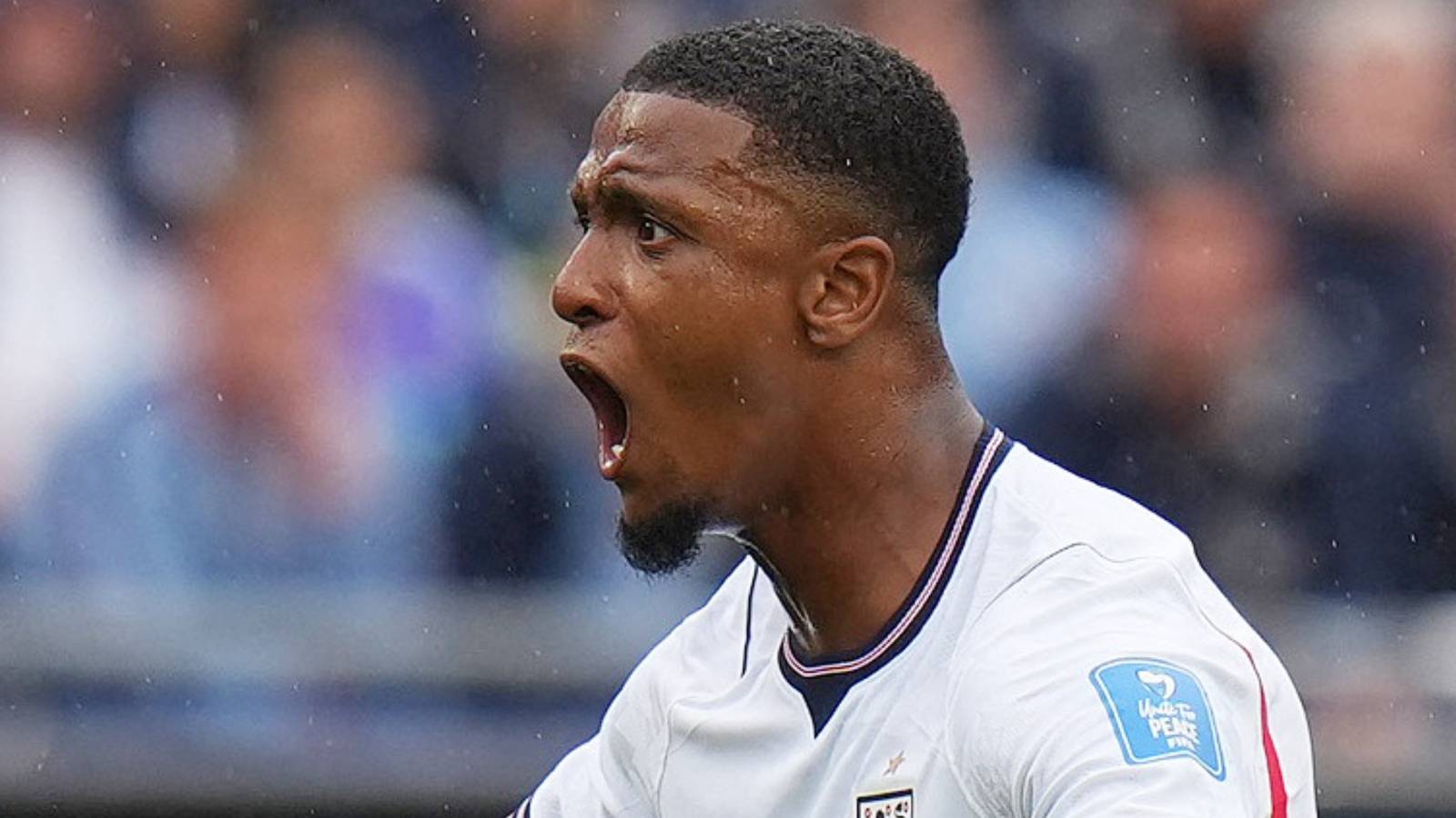 World Cup: Darren Cann Thinks Ghana Deserved Penalty vs England