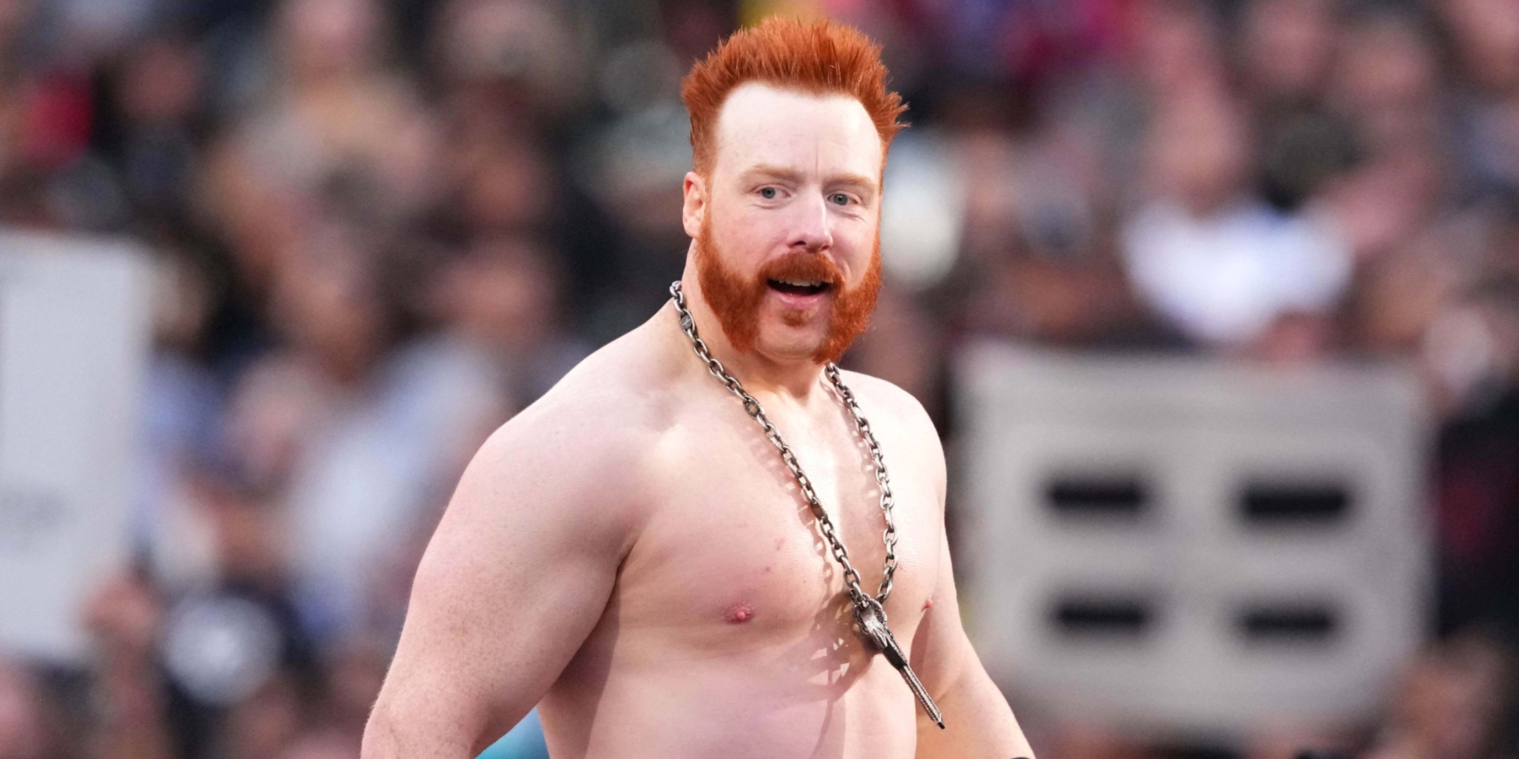 Sheamus' Irish Post After WWE Exit Has Been Translated