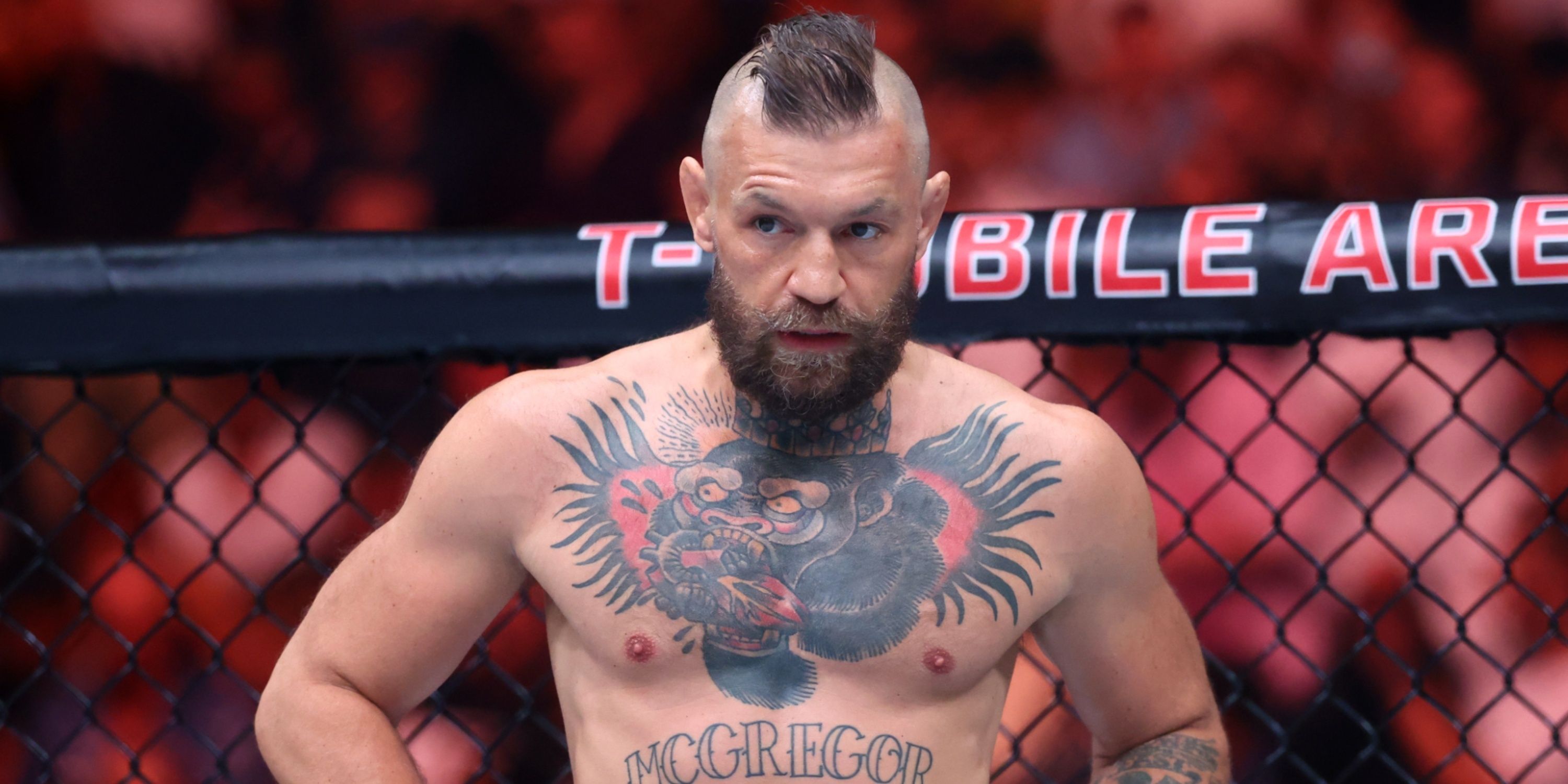 Conor McGregor at UFC 329
