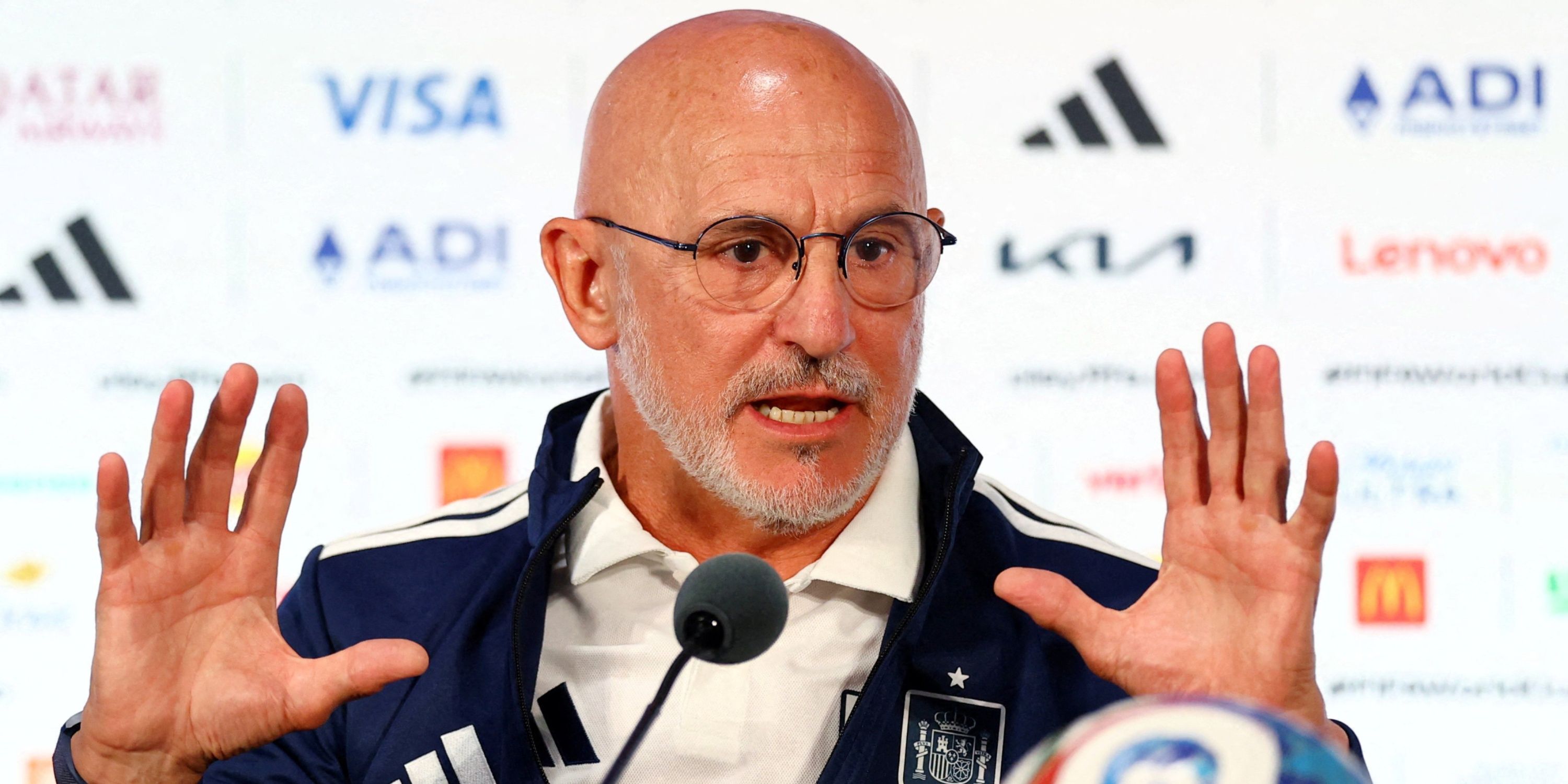 World Cup: Luis de la Fuente Slams Behaviour of Argentina Players