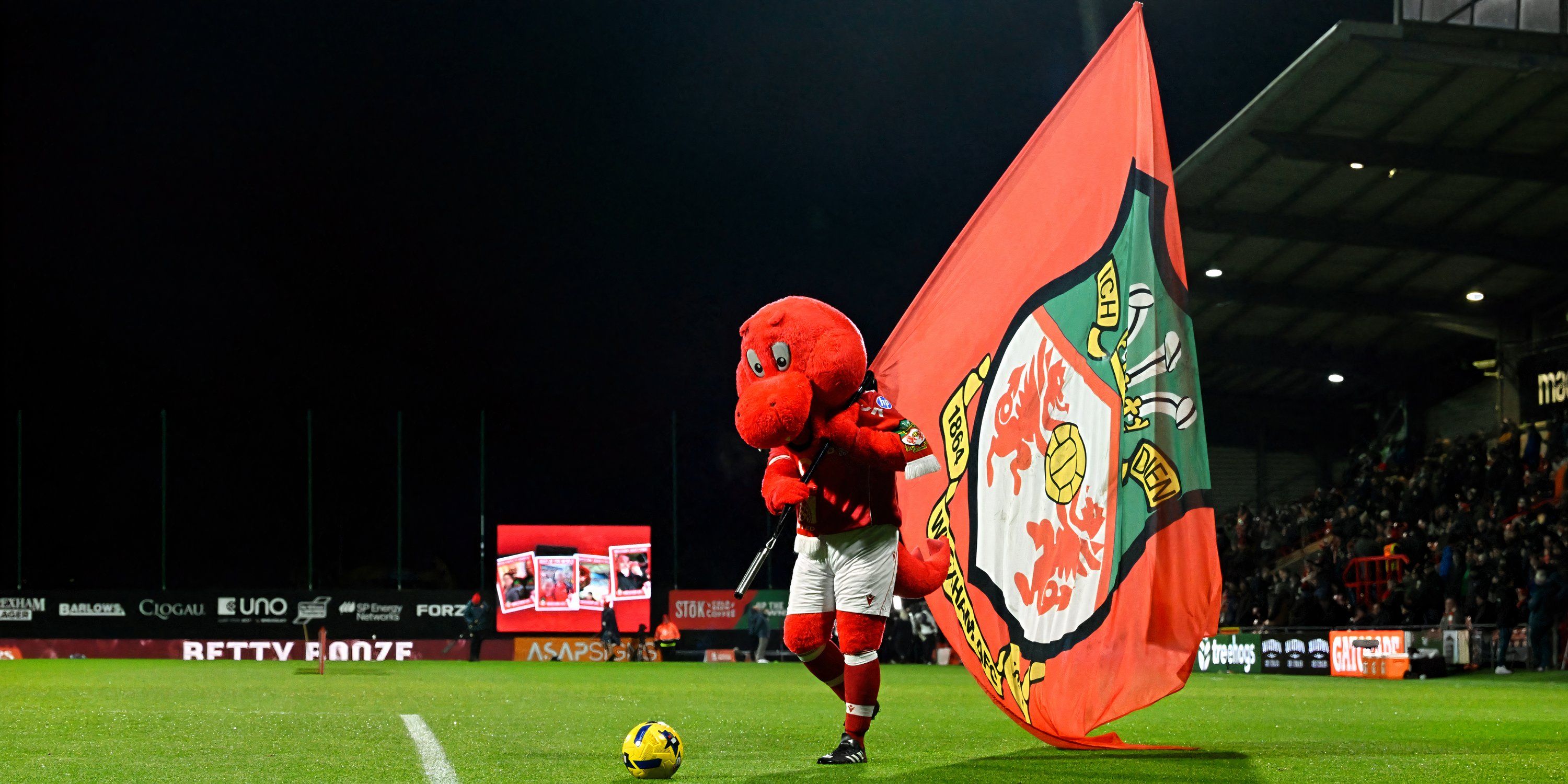 Wrexham Dragon Mascot