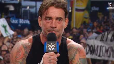 WWE SummerSlam: Cody Rhodes' Wife's Tweet After He Loses to CM Punk 1 CM Punk