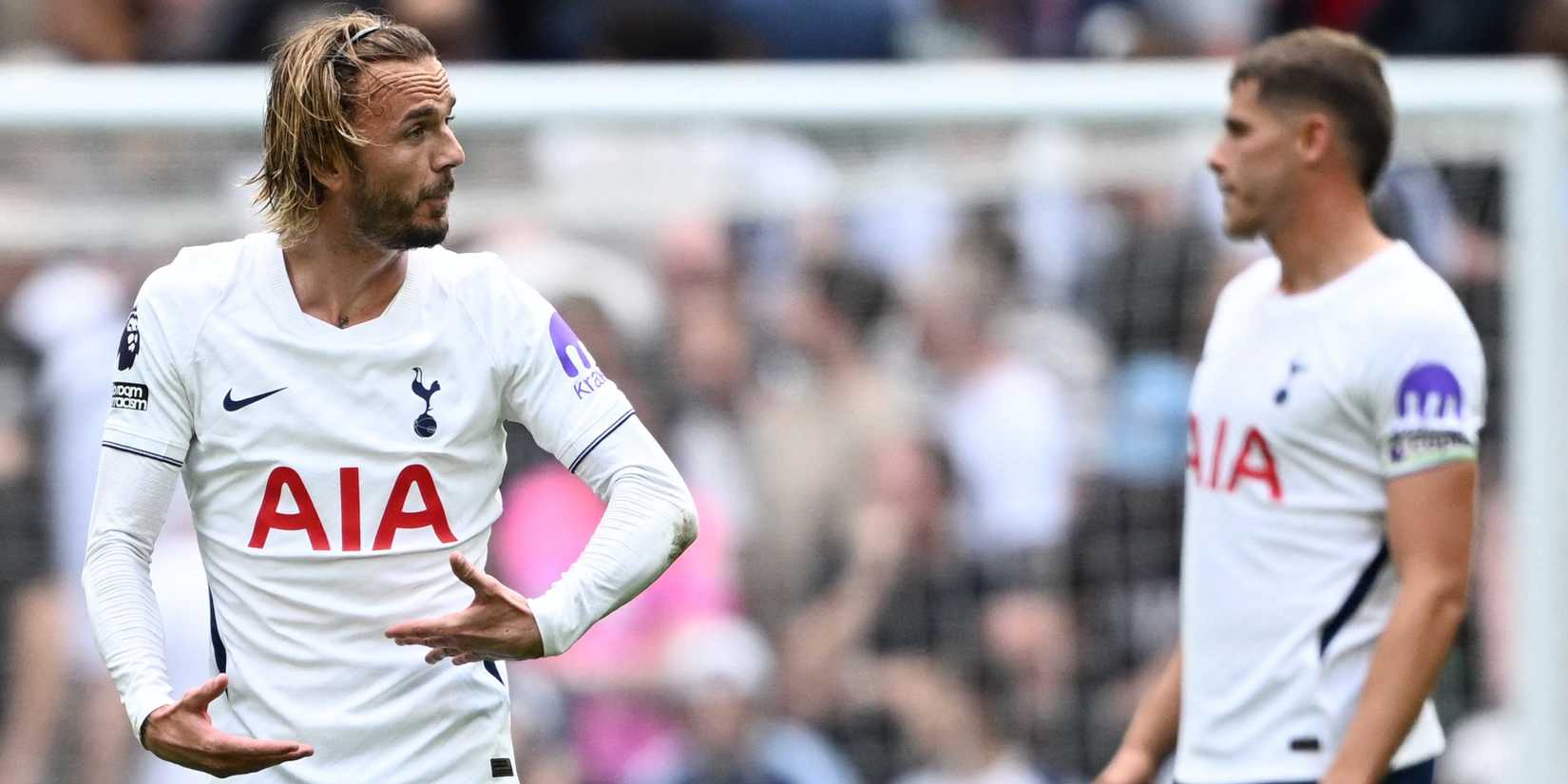 Tottenham players