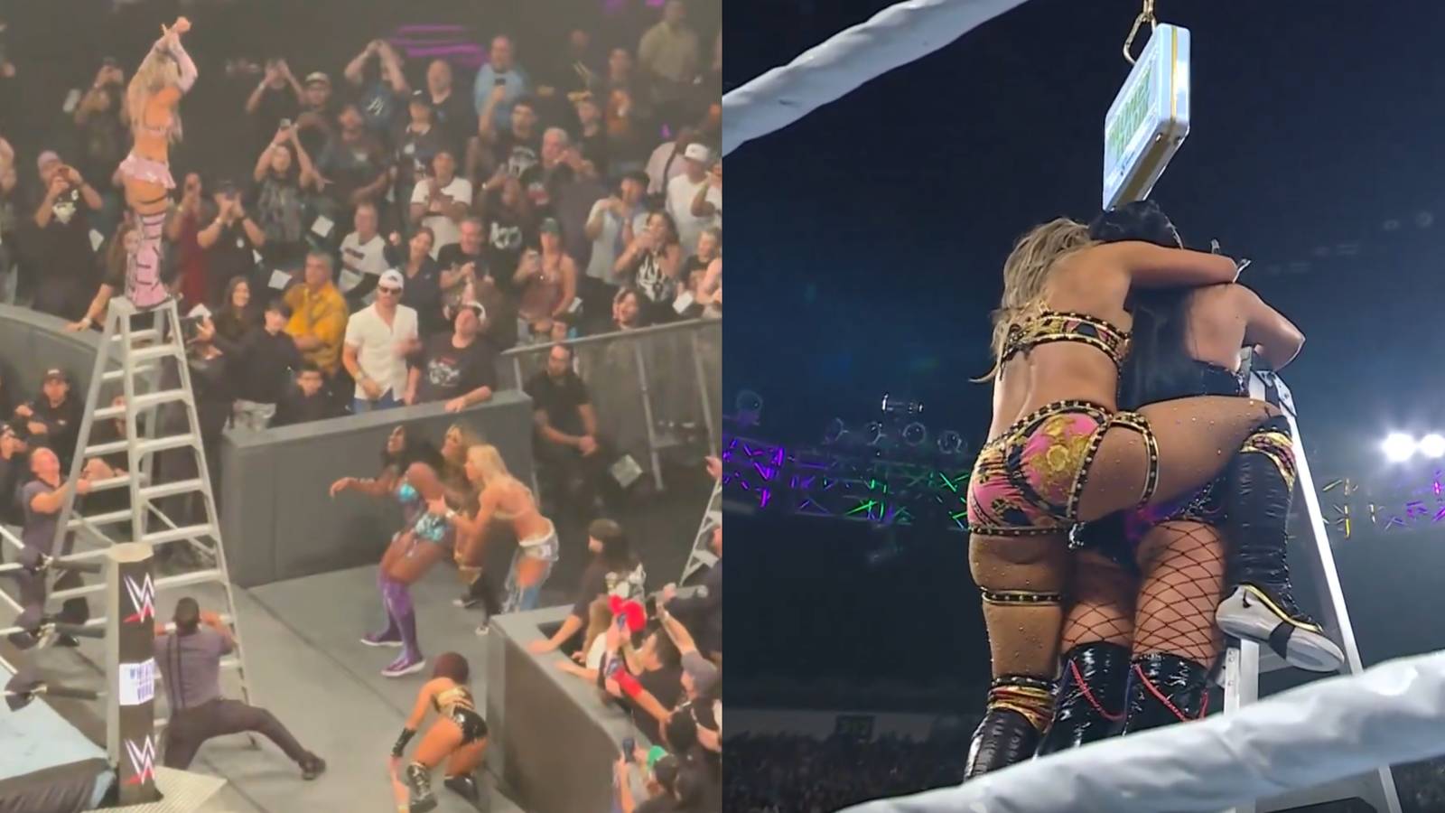 WWE Money in the Bank: 2 of the Scariest Spots in History Happened During Women's Match