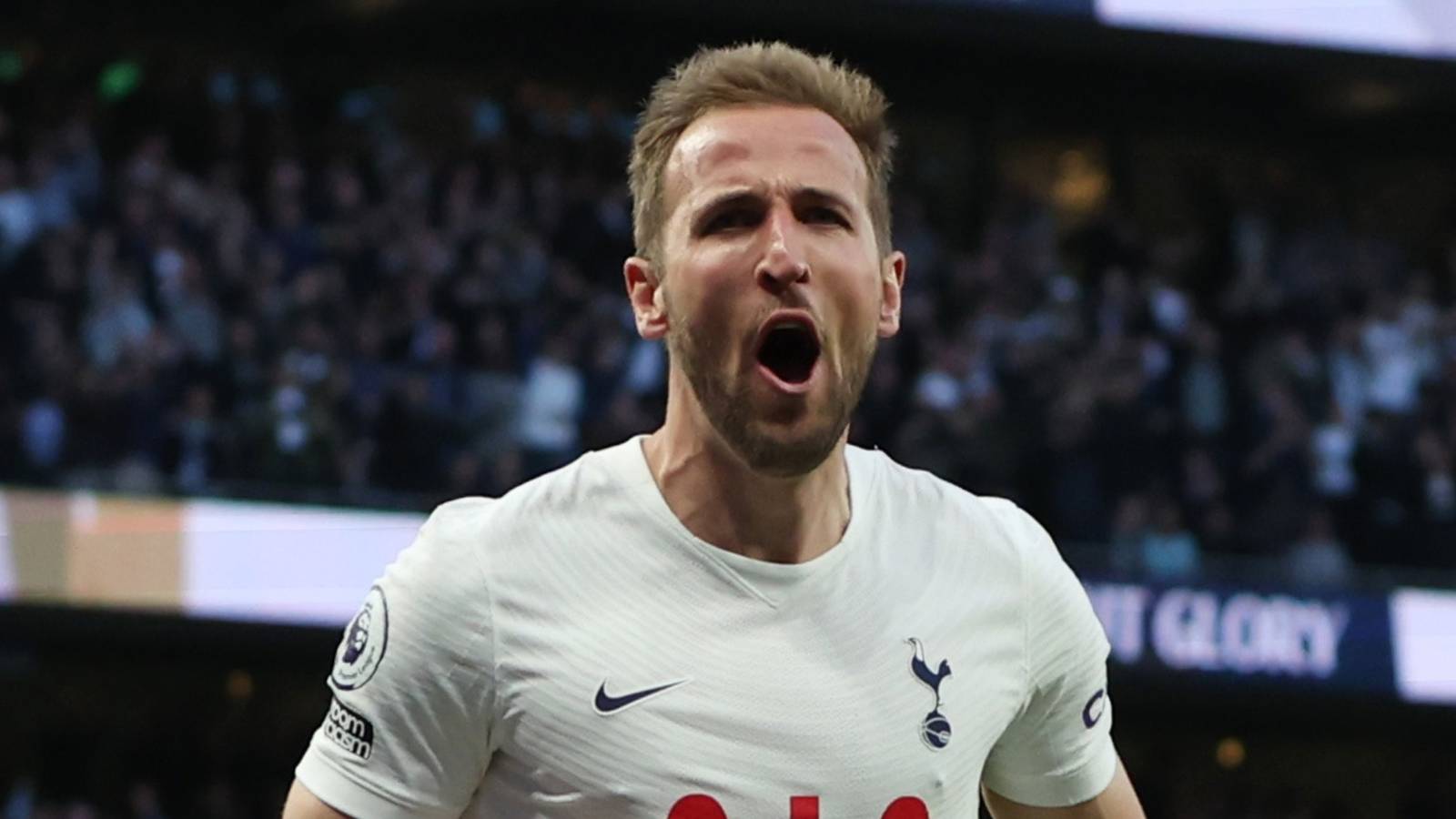 Teams Harry Kane Scored Most Against in the Premier League (Ranked)
